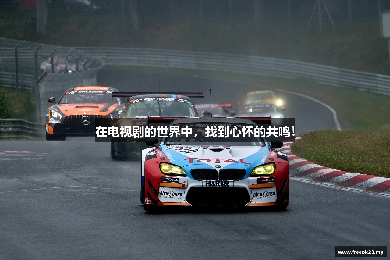 在电视剧的世界中，找到心怀的共鸣！